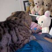 れい 帰宅(:3_ヽ)_ 西船巨乳ぽっちゃり　乳神さま