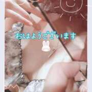 ヒメ日記 2026/04/15 11:42 投稿 かなえ 艶（えん）