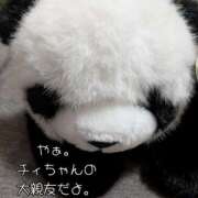 ヒメ日記 2025/12/01 14:01 投稿 チヅル 京都ホテヘル倶楽部