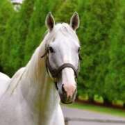 ヒメ日記 2026/01/02 10:27 投稿 ももえ 熟女家 堺東店