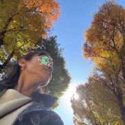 ヒメ日記 2025/11/17 23:00 投稿 中村あんな セカンドパートナー