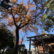 ヒメ日記 2025/12/09 15:35 投稿 中村あんな セカンドパートナー