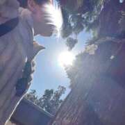 ヒメ日記 2025/12/15 11:50 投稿 中村あんな セカンドパートナー