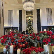 ヒメ日記 2025/12/17 13:05 投稿 中村あんな セカンドパートナー