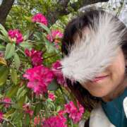 ヒメ日記 2026/03/21 11:00 投稿 中村あんな セカンドパートナー本店