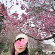 中村あんな おはようございます セカンドパートナー本店