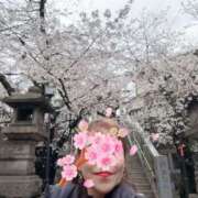 中村あんな お礼✨ セカンドパートナー本店