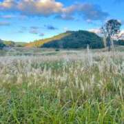 ヒメ日記 2025/12/10 21:03 投稿 平沢　まな プルプル京都性感エステ　はんなり