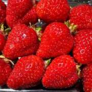 ヒメ日記 2026/01/12 20:01 投稿 平沢　まな プルプル京都性感エステ　はんなり