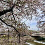 ヒメ日記 2026/04/07 17:45 投稿 平沢　まな プルプル京都性感エステ　はんなり