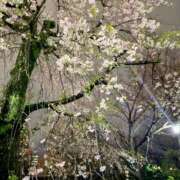 ヒメ日記 2026/04/11 19:30 投稿 平沢　まな プルプル京都性感エステ　はんなり