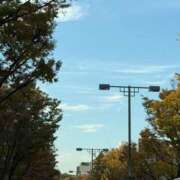 ヒメ日記 2025/11/16 18:13 投稿 かれん 奥鉄オクテツ東京店（デリヘル市場）