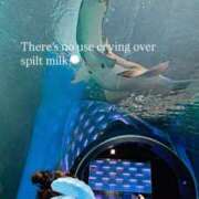 ヒメ日記 2026/04/16 23:14 投稿 かれん 奥鉄オクテツ東京店（デリヘル市場）