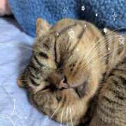 ヒメ日記 2025/10/02 23:18 投稿 一ノ瀬れい 恋する妻たち