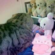 ヒメ日記 2025/11/08 21:58 投稿 一ノ瀬れい 恋する妻たち