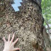 ヒメ日記 2025/10/26 16:48 投稿 本条 まみ リップスティック