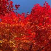 ヒメ日記 2025/12/01 13:43 投稿 本条 まみ リップスティック