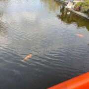 ヒメ日記 2026/01/10 09:05 投稿 本条 まみ リップスティック