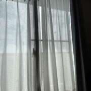 ヒメ日記 2025/09/25 13:07 投稿 かすみ モアグループ宇都宮人妻花壇