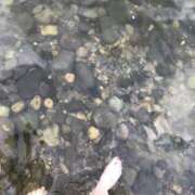 かすみ おはようございます！今日ラストひと枠 モアグループ宇都宮人妻花壇