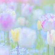 ヒメ日記 2025/09/23 10:17 投稿 りょう タレント倶楽部シャングリラ