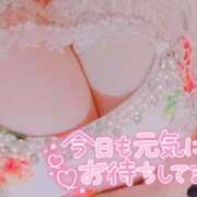 ヒメ日記 2025/10/15 10:39 投稿 前田 愛妻倶楽部 宇都宮店