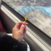 ヒメ日記 2025/11/25 21:09 投稿 紅葉 なのは しゃせきょっ!XX教育される制服女子たち