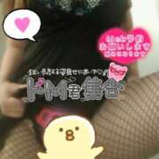 ノエル～M性感～ 残り2日︎︎🙌🏻 アメイジングビル～道後最大級！遊び方無限大∞ヘルス♪～