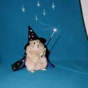 ヒメ日記 2025/10/02 15:02 投稿 橘　あやめ【激カワ美巨乳】 Salon de Flawless（サロンドフローレス）