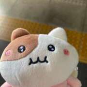 ヒメ日記 2025/10/10 13:15 投稿 橘　あやめ【激カワ美巨乳】 Salon de Flawless（サロンドフローレス）