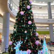 ヒメ日記 2025/12/03 18:15 投稿 橘　あやめ【激カワ美巨乳】 Salon de Flawless（サロンドフローレス）