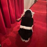 ヒメ日記 2025/12/10 21:02 投稿 橘　あやめ【激カワ美巨乳】 Salon de Flawless（サロンドフローレス）