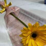 ヒメ日記 2026/01/24 13:19 投稿 叶和(とわ) MERMAID～マーメイド～