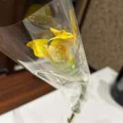 ヒメ日記 2026/02/24 16:25 投稿 叶和(とわ) MERMAID～マーメイド～