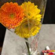 叶和(とわ) 明日 MERMAID～マーメイド～