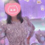 ヒメ日記 2025/11/17 09:54 投稿 三浦 華恋人(カレント)