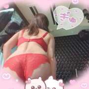 ヒメ日記 2025/12/29 09:31 投稿 三浦 華恋人(カレント)