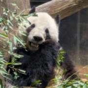 ヒメ日記 2026/01/16 13:43 投稿 三浦 華恋人(カレント)