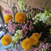 ヒメ日記 2026/01/20 09:40 投稿 三浦 華恋人(カレント)