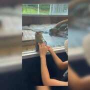 ヒメ日記 2025/09/25 19:30 投稿 春日井まりか ウルトラセレクション