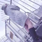 ヒメ日記 2025/11/09 11:20 投稿 春日井まりか ウルトラセレクション