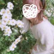 ヒメ日記 2025/11/18 08:50 投稿 春日井まりか ウルトラセレクション