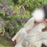 ヒメ日記 2025/11/19 09:40 投稿 春日井まりか ウルトラセレクション