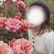 ヒメ日記 2025/11/20 19:50 投稿 春日井まりか ウルトラセレクション