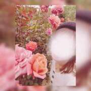 ヒメ日記 2025/11/23 12:21 投稿 春日井まりか ウルトラセレクション