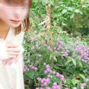 ヒメ日記 2025/12/12 12:51 投稿 春日井まりか ウルトラセレクション