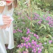 ヒメ日記 2025/12/24 15:22 投稿 春日井まりか ウルトラセレクション