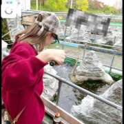 ヒメ日記 2026/03/11 11:20 投稿 春日井まりか ウルトラセレクション