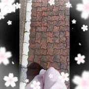 ヒメ日記 2026/04/18 12:03 投稿 春日井まりか ウルトラセレクション