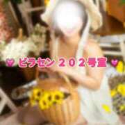 ヒメ日記 2026/08/10 11:50 投稿 春日井まりか ウルトラセレクション
